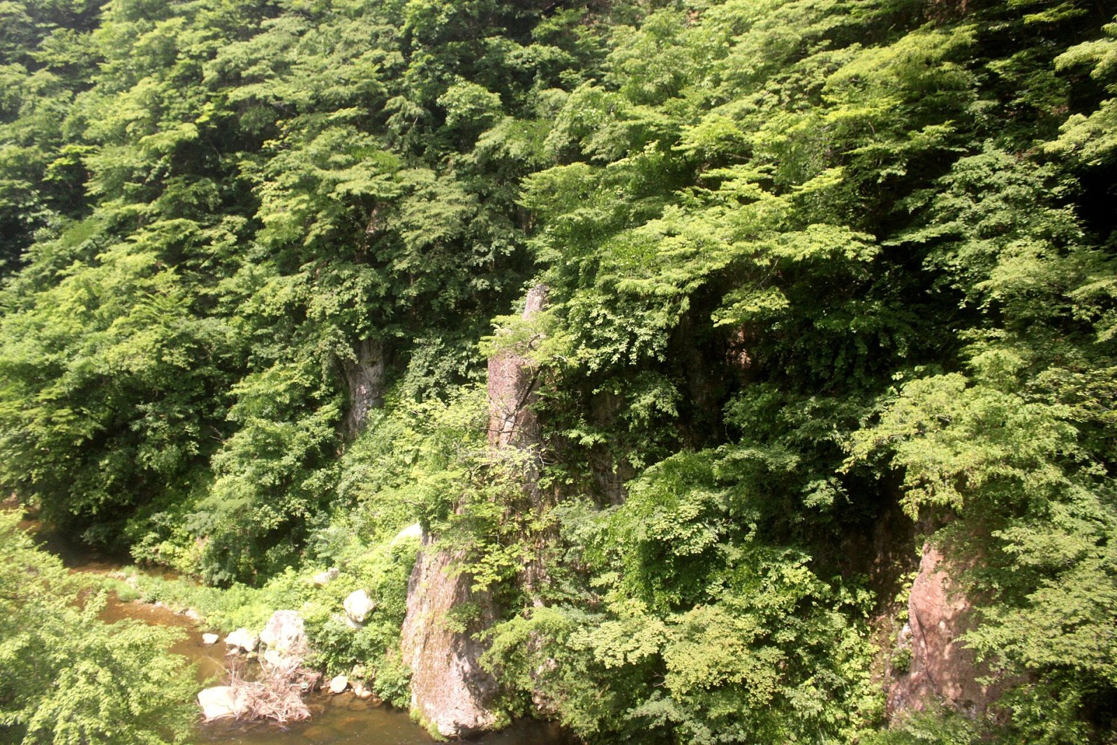 Entdecken Sie die natürliche Schönheit der Naruko-Schlucht in Japan - Ōsaki | Secret World Trip Planner