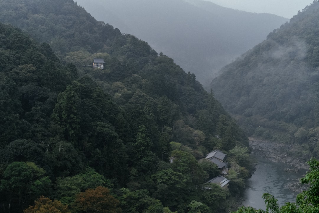 Ena Gorge : Un coin de nature préservée au Japon - Ena | Secret World Trip Planner
