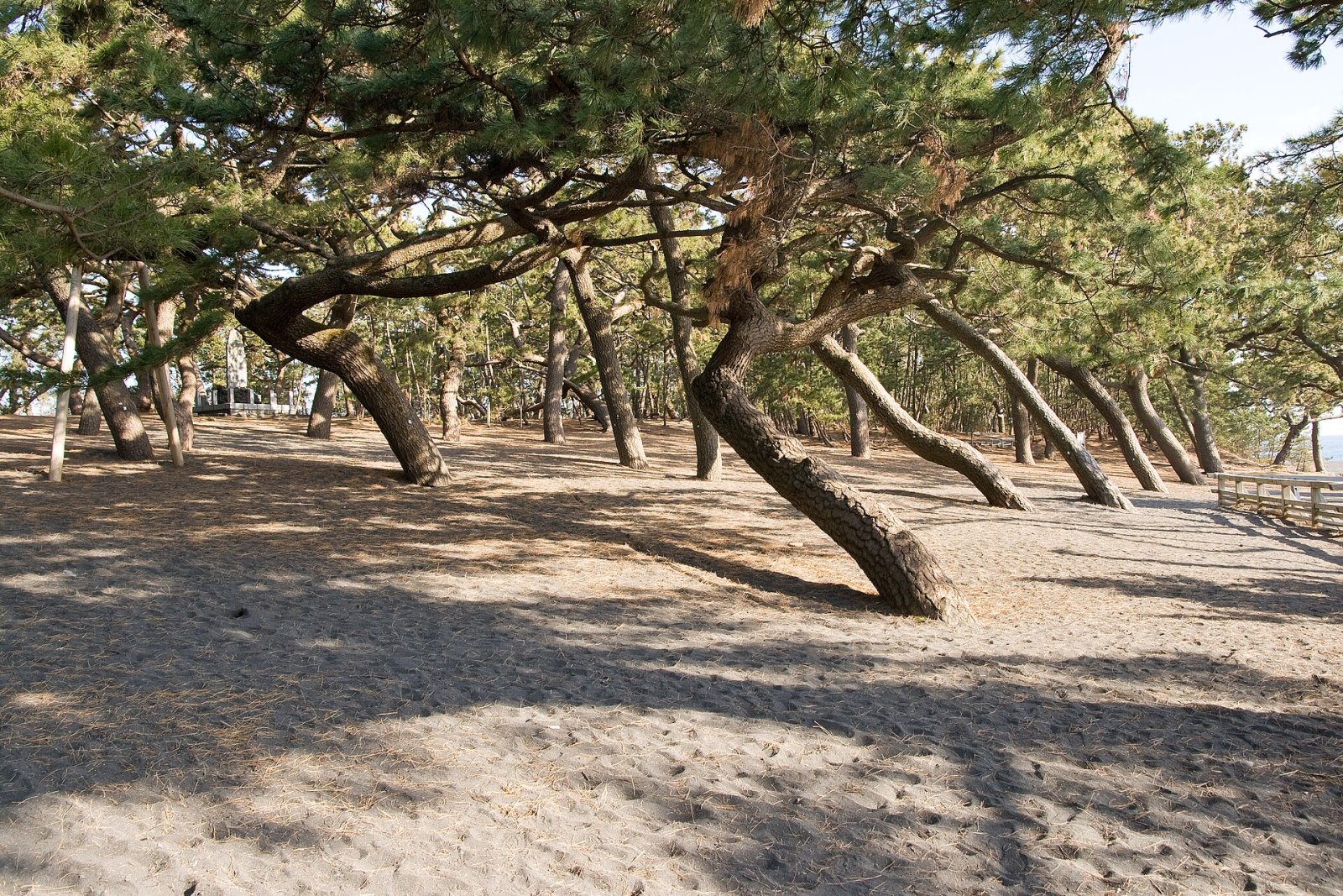 Découvrez Shizuoka Miho no Matsubara : un coin de paradis au Japon - Shizuoka | Secret World Trip Planner