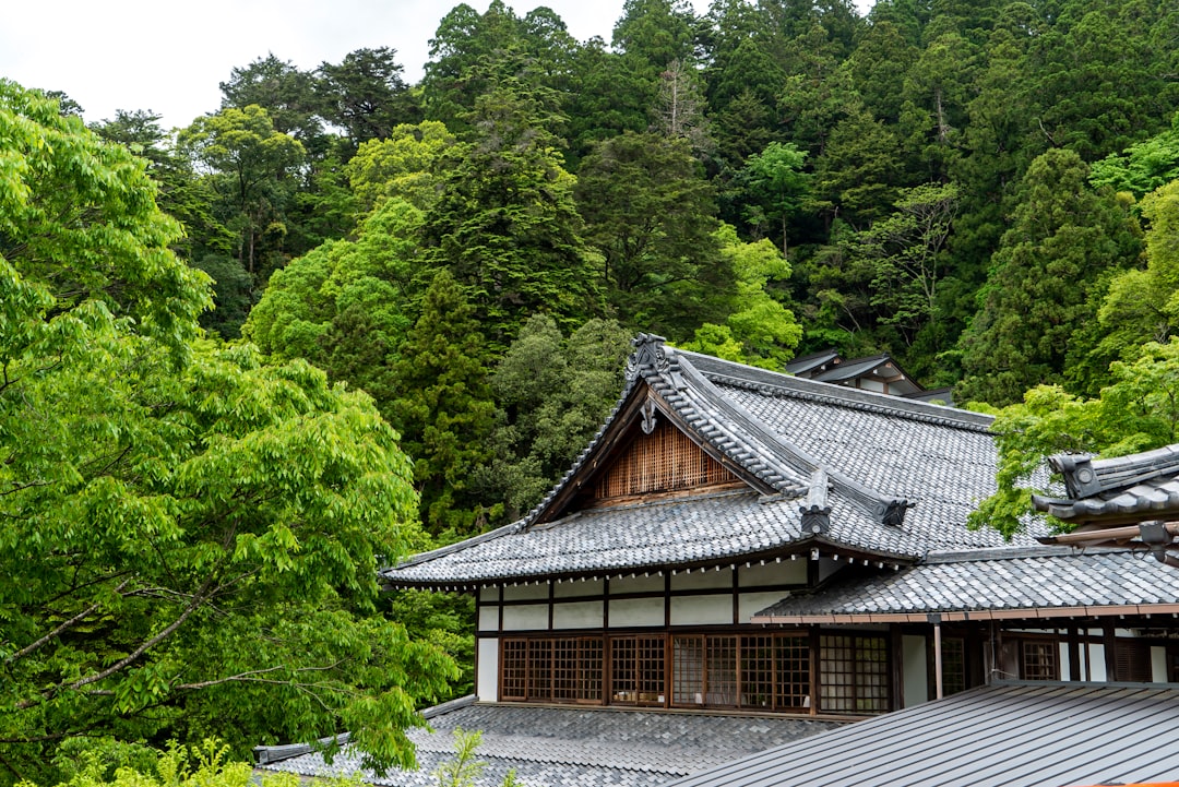 Entdecken Sie den Kurama-Tempel: ein kulturelles Juwel von Kyoto - Kyoto | Secret World Trip Planner