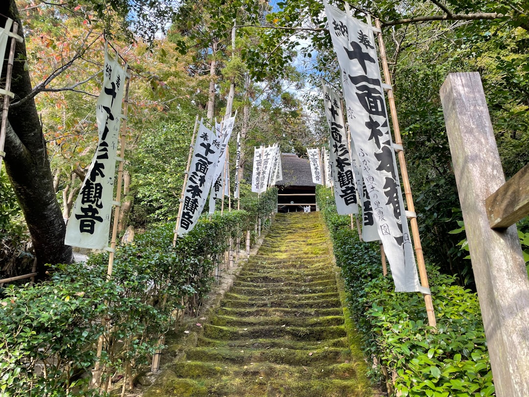 Discover the Kumano Kodo: the Pilgrims' Path in Japan - Tanabe | Secret World Trip Planner