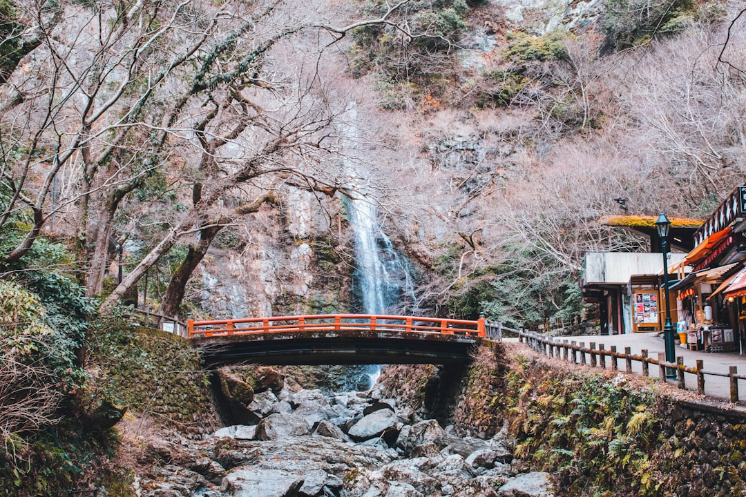 Découvrez les merveilles de la cascade de Minoh au Japon — Minoh