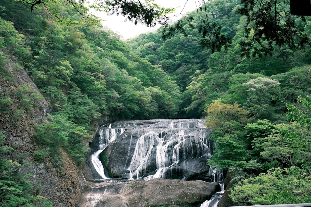 Découvrez les merveilles de la cascade de Minoh au Japon - Minoh | Secret World Trip Planner