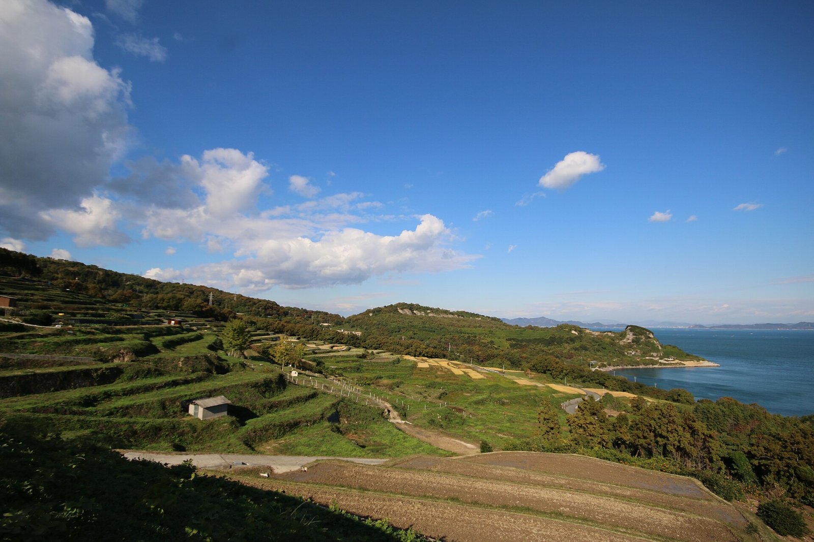 Scoprire l'isola di Teshima: un gioiello nascosto in Giappone - Tonosho | Secret World Trip Planner