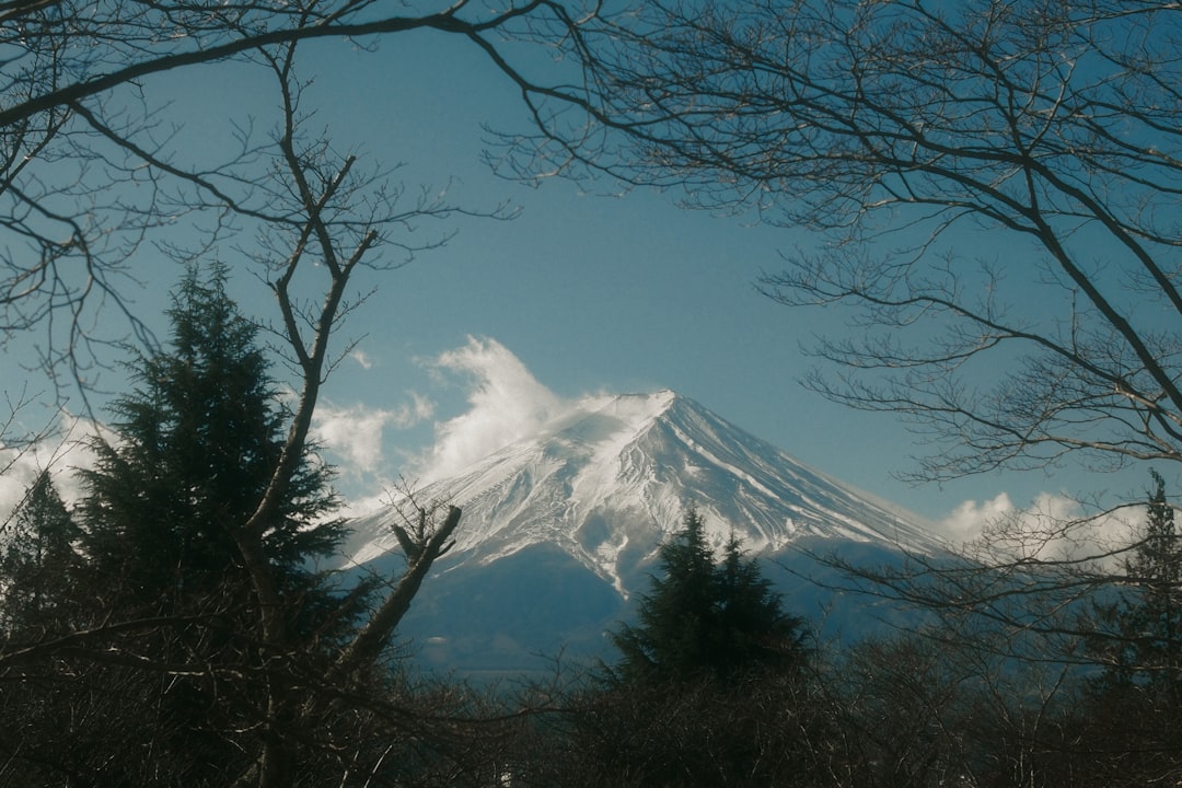 Découvrez la magie de la mer Hiuchi Nada à Imabari — Imabari