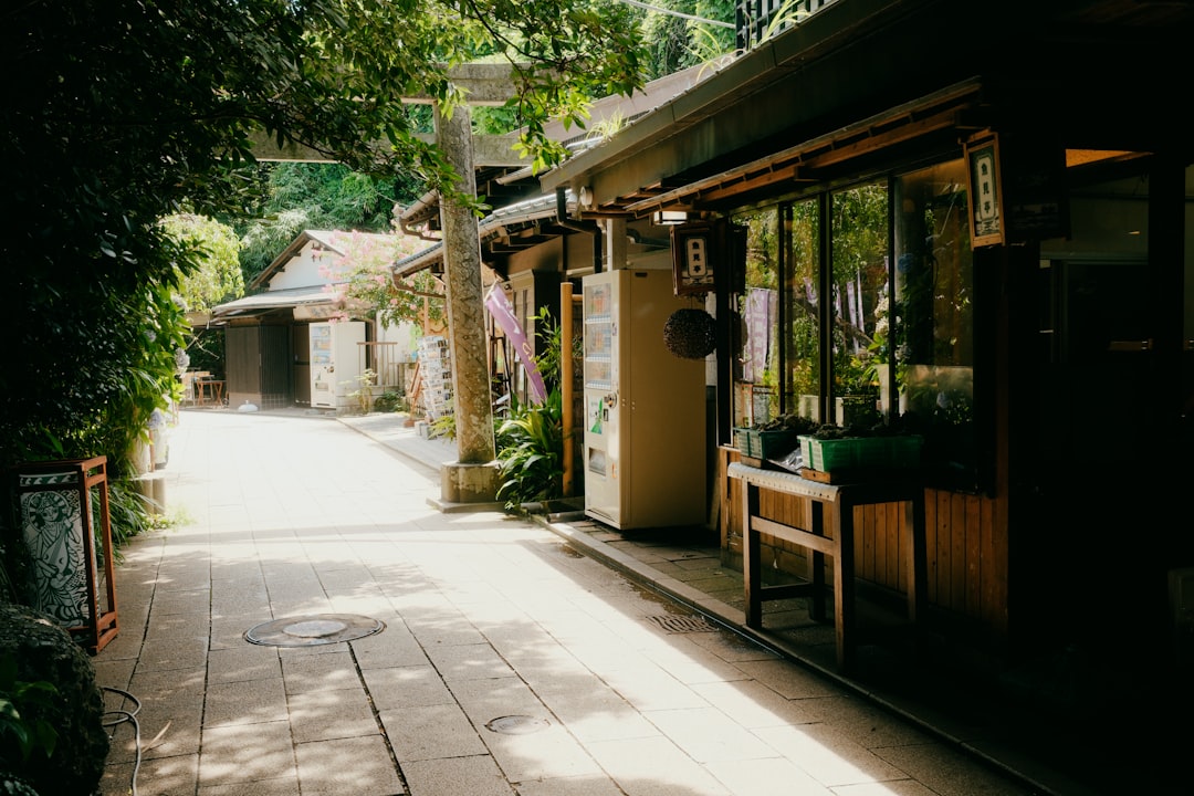 Découvrez la magie de la grotte Ryugado à Tosa, Shikoku - Konan | Secret World Trip Planner