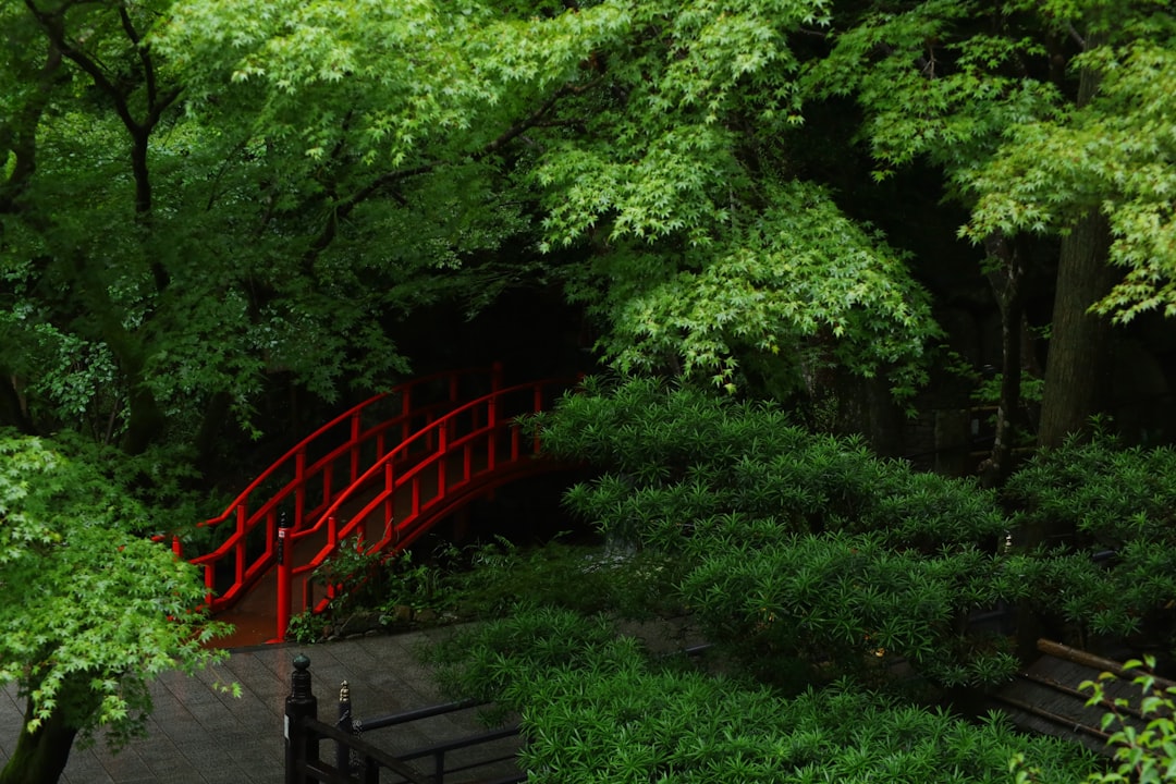 Entdecken Sie den Nanzoin-Tempel in Sasaguri: ein kultureller Schatz Japans — Sasaguri