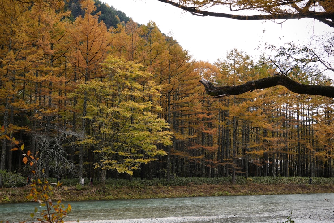 Esplora il Parco Quasi Nazionale Genkai: Natura e Cultura a Fukuoka - Fukuoka | Secret World Trip Planner