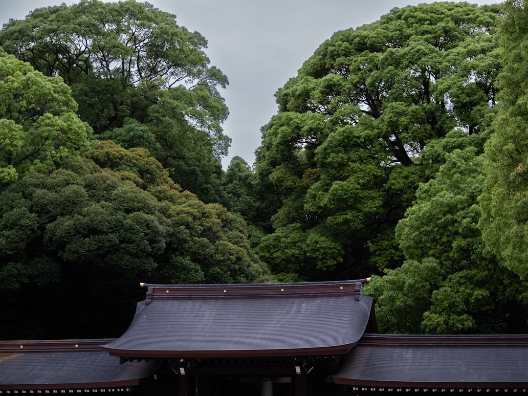 Découvrez le sanctuaire Meiji : un joyau de Tokyo entre culture et nature - Shibuya | Secret World Trip Planner