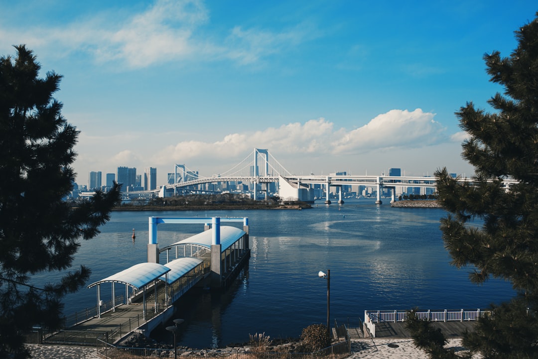 Odaiba entdecken: Ein kulturelles Juwel von Tokio - Koto City | Secret World Trip Planner