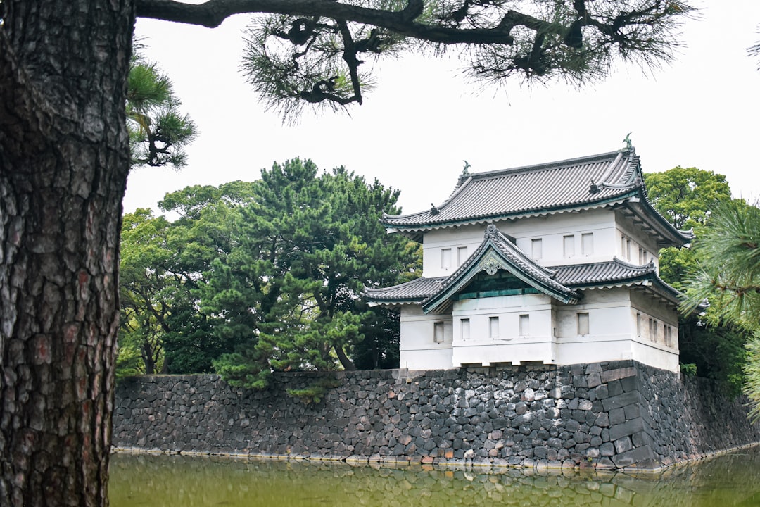 Edo Castle Ruins: Un Viaggio nella Storia di Tokyo - Chiyoda City | Secret World Trip Planner