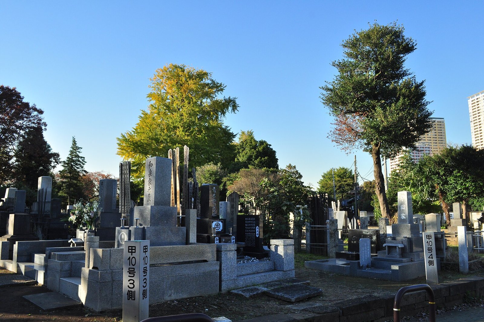 Cimetière de Yanaka : Un Voyage dans l'Histoire de Tokyo - Bunkyo City | Secret World Trip Planner