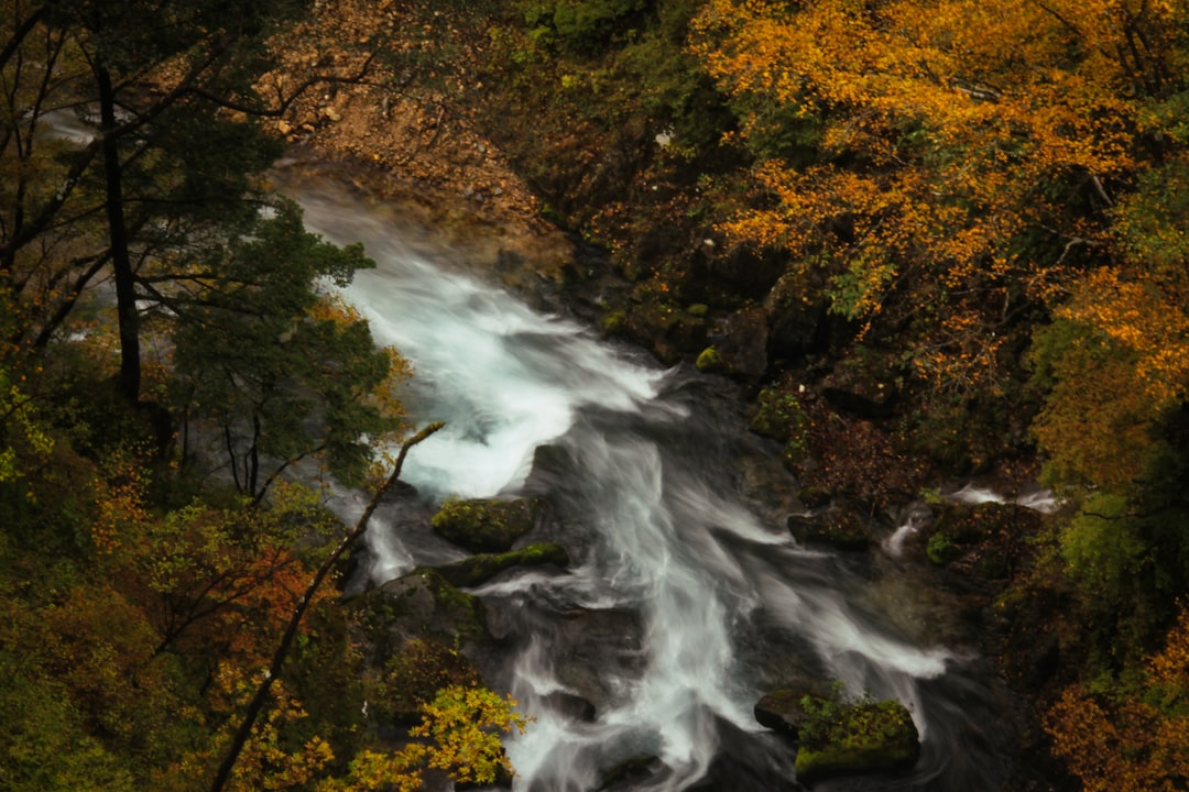 Kegon Falls: un gioiello naturale di Nikko in Giappone - Nikko | Secret World Trip Planner