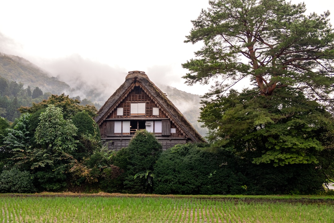Scopri Shirakawa-go: Un gioiello storico nel cuore del Giappone - Shirakawa | Secret World Trip Planner