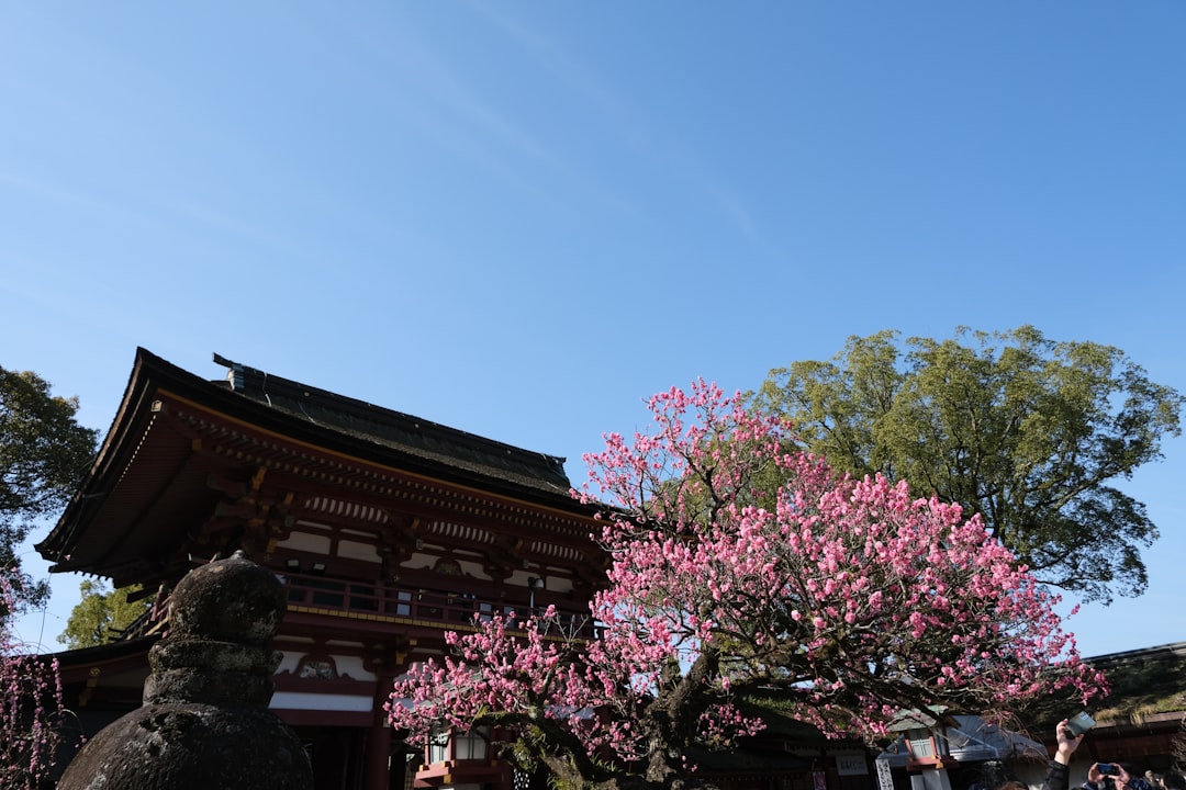 Alla scoperta del Santuario Atsuta: un tesoro di Nagoya - Nagoya | Secret World Trip Planner