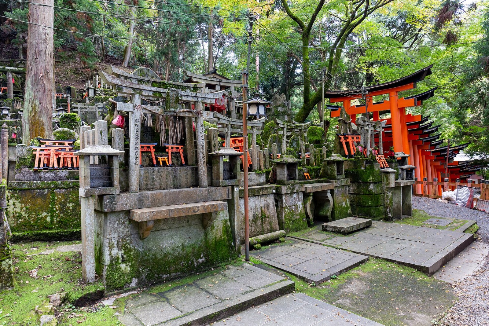Fushimi Inari Shrine: A Journey into the Heart of Japanese Culture - Kyoto | Secret World Trip Planner