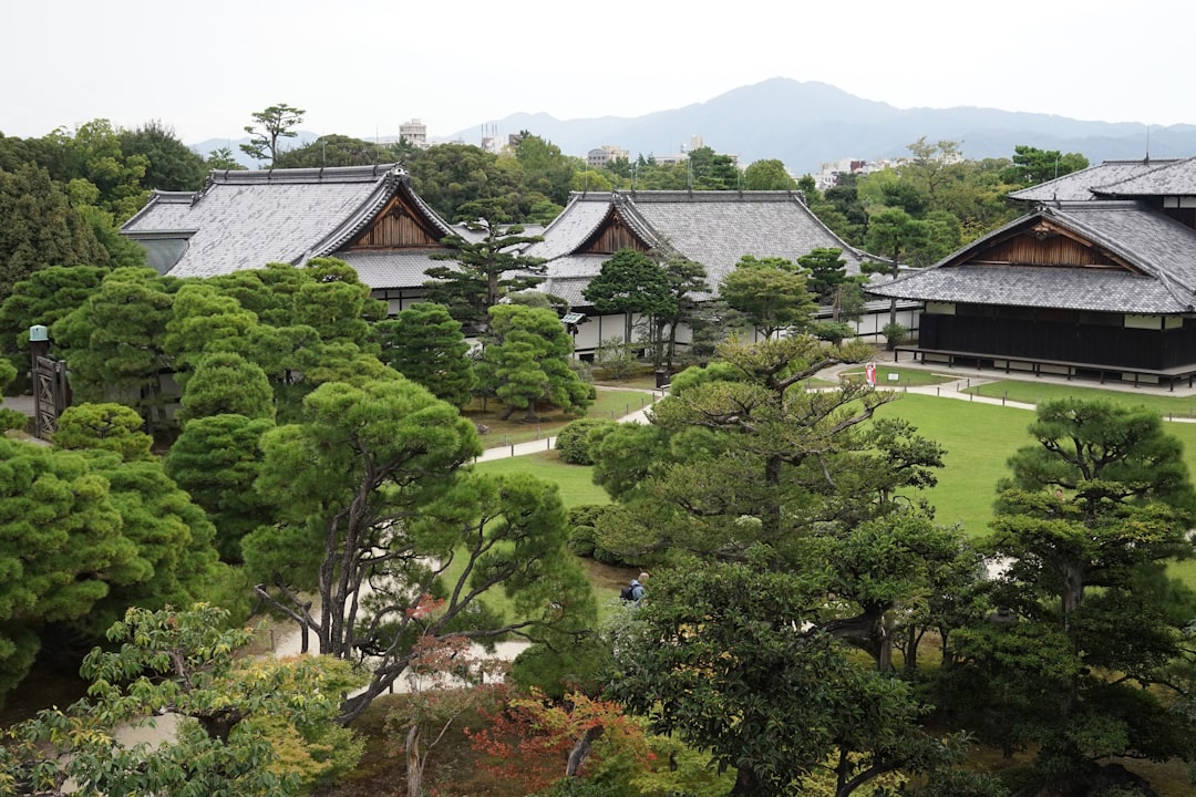 Erkundung des Nijo-Schlosses in Kyoto: Geschichte und Schönheit - Kyoto | Secret World Trip Planner