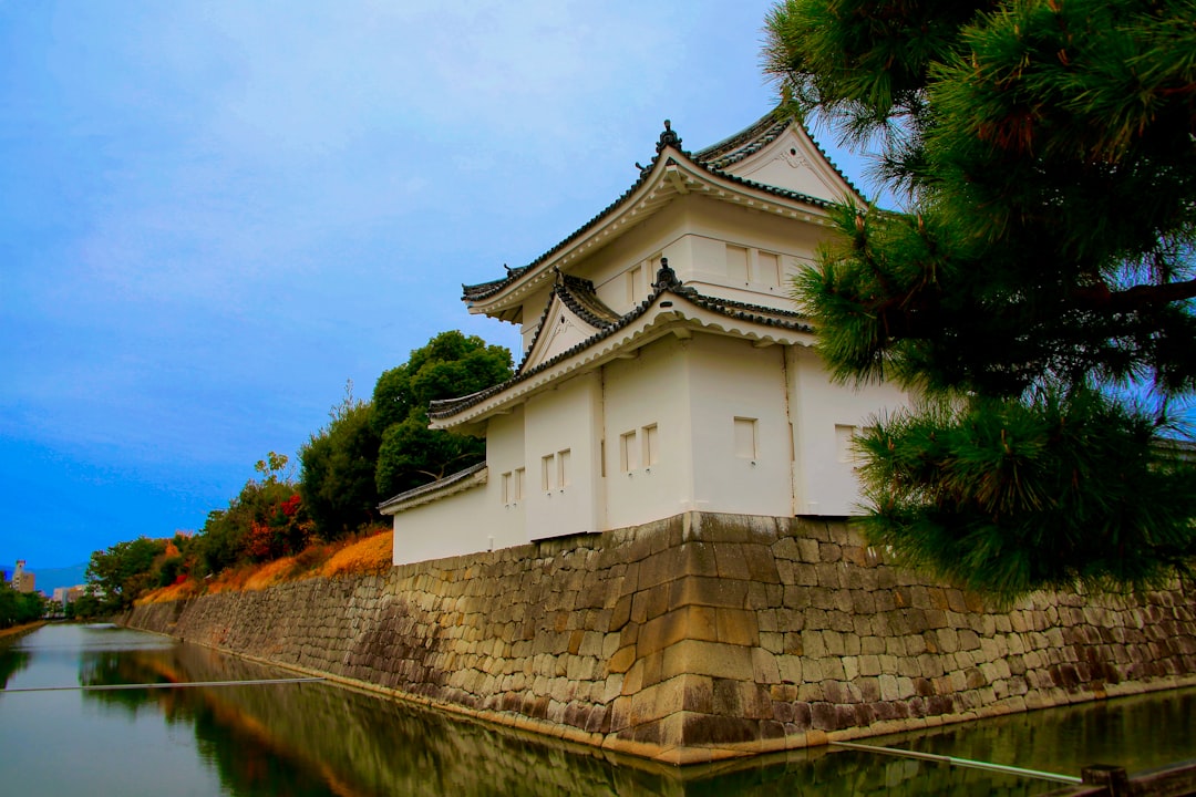 Exploration du Château Nijo de Kyoto : Histoire et Beauté - Kyoto | Secret World Trip Planner