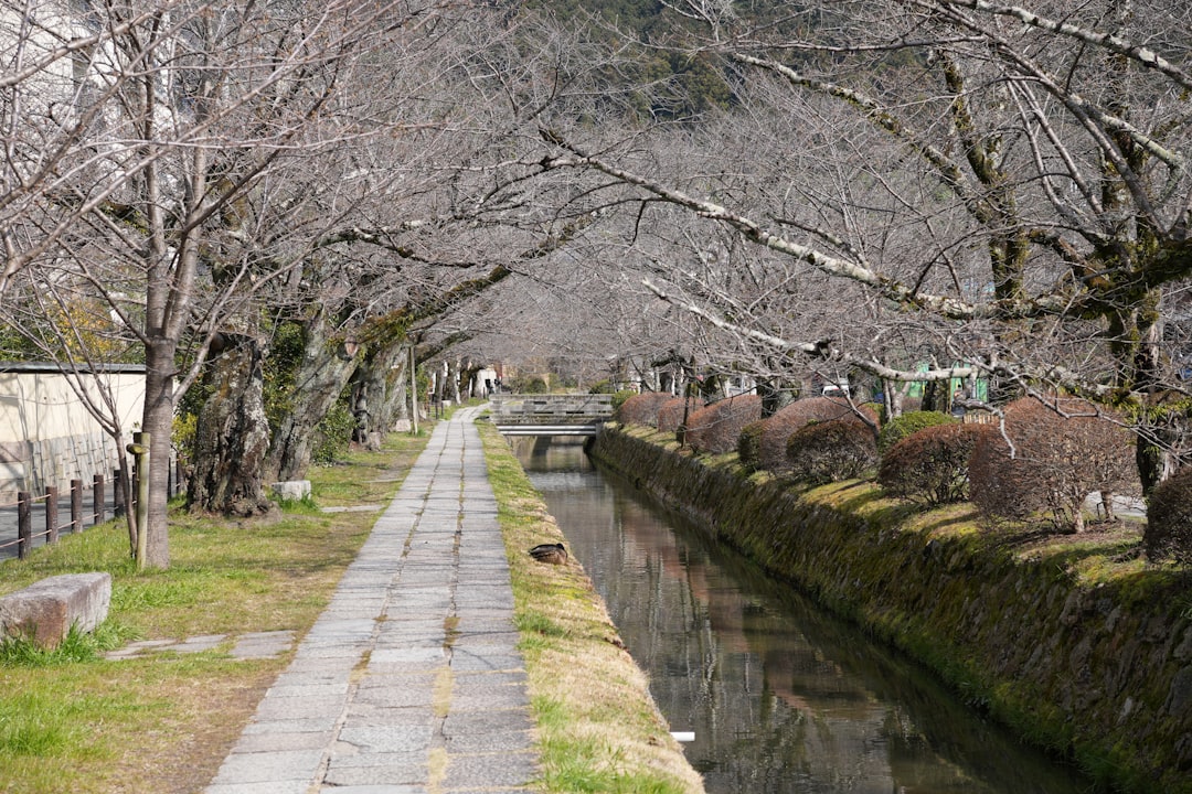 Scopri il Sentiero dei Filosofi a Kyoto: Un Viaggio nella Natura - Kyoto | Secret World Trip Planner