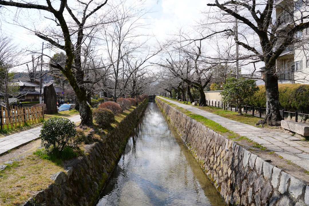 Discover the Philosopher's Path in Kyoto: A Journey into Nature - Kyoto | Secret World Trip Planner