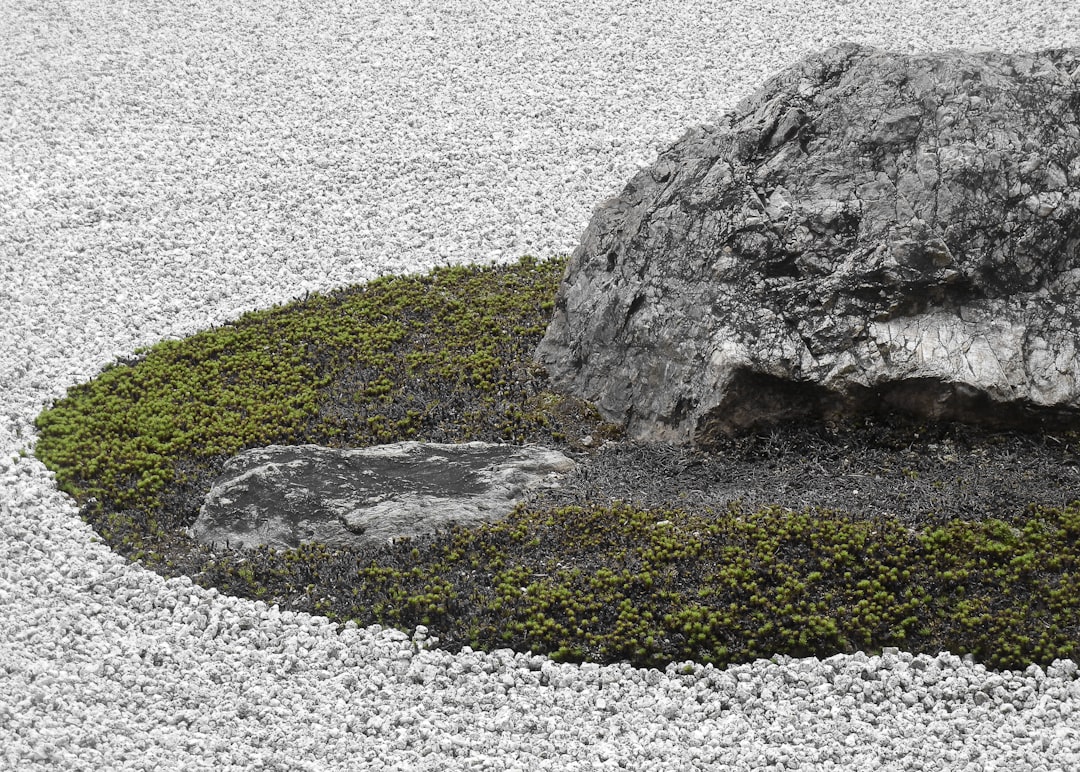 Ryoan-ji: The Zen Temple of Kyoto Between History and Beauty - Kyoto | Secret World Trip Planner
