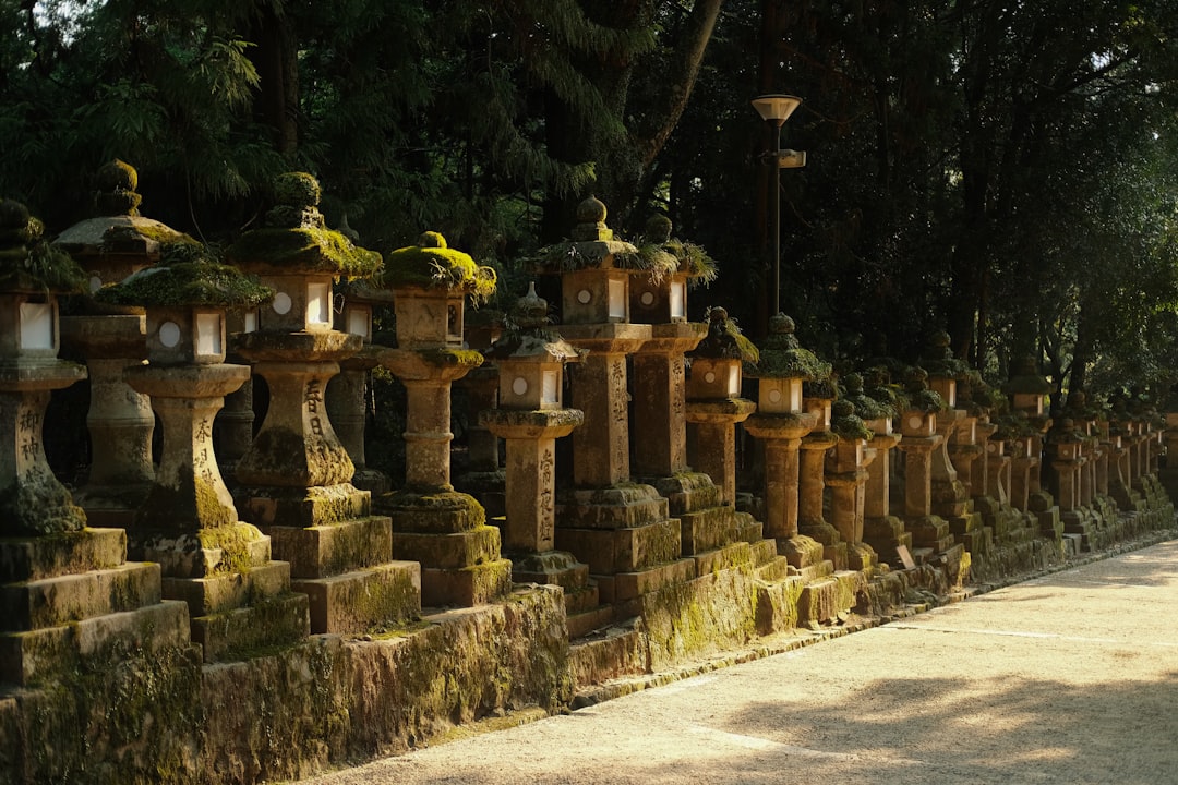 Kasuga Grand Shrine : un trésor culturel à Nara - Nara | Secret World Trip Planner