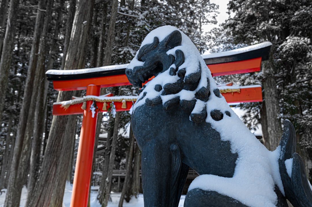 Scopri il Monte Koya: il cuore spirituale del Giappone - Koya | Secret World Trip Planner