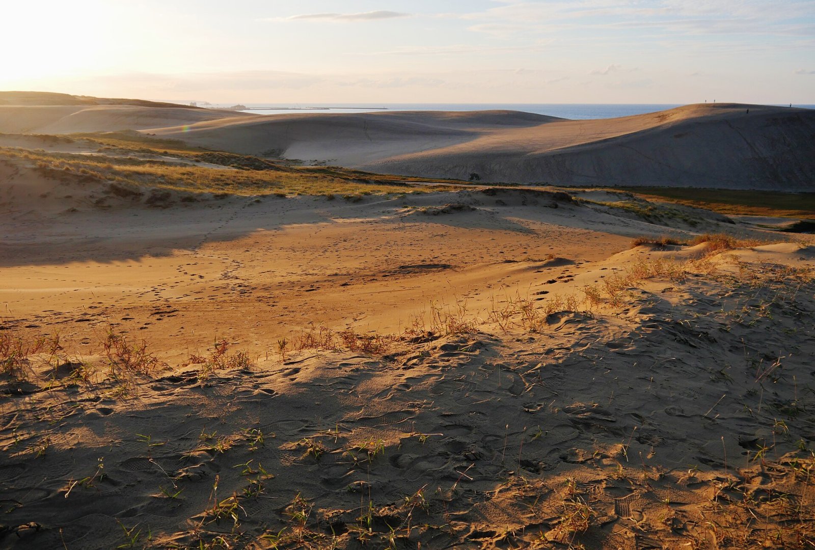 Discover Tottori Dunes: A Gem of Japanese Nature - Tottori | Secret World Trip Planner