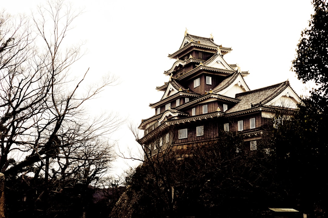 Okayama Castle: Un gioiello della storia giapponese - Okayama | Secret World Trip Planner