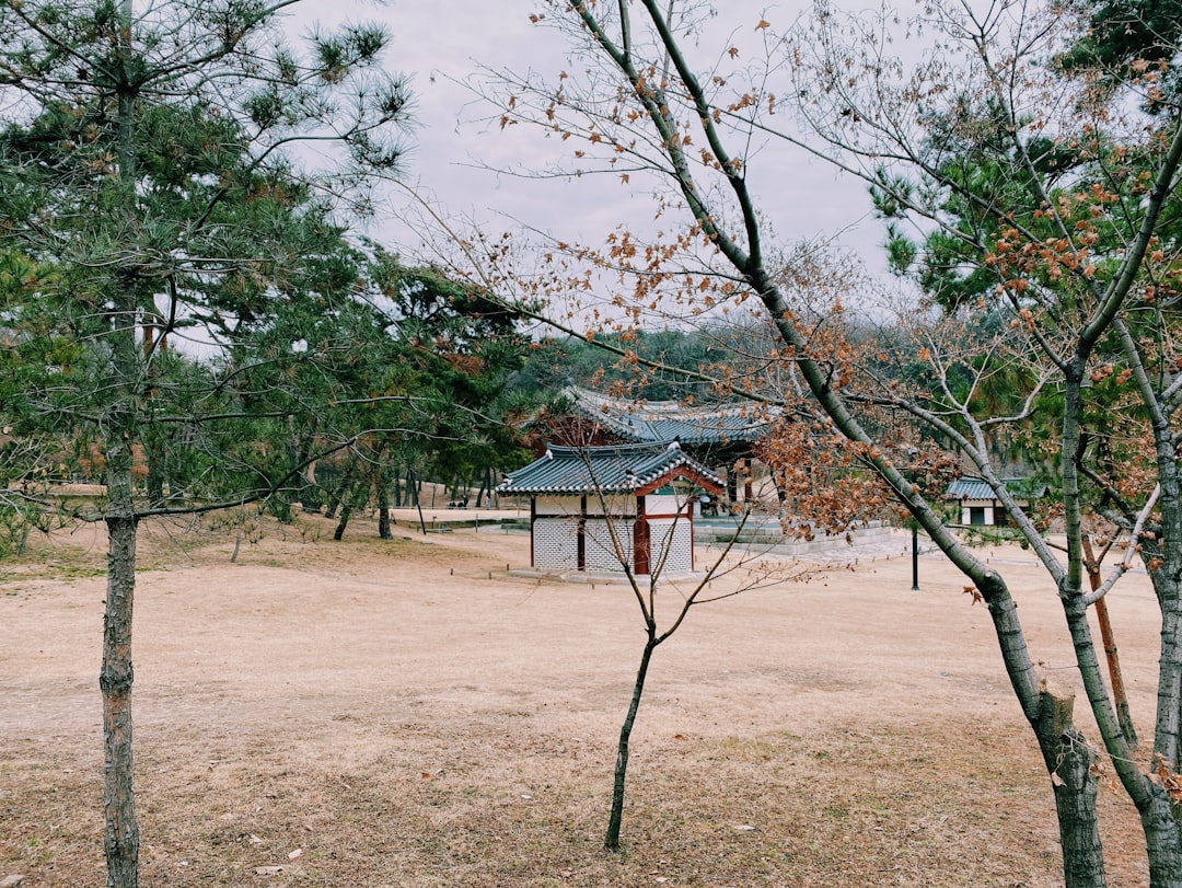 Ulsanbawi Rock: The Natural Wonder of Sokcho — Sokcho-si