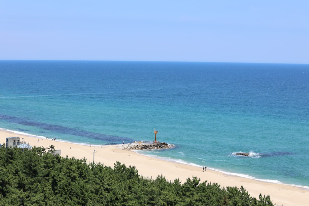 Jeongdongjin Beach: A Slice of Paradise in South Korea - Gangneung | Secret World Trip Planner