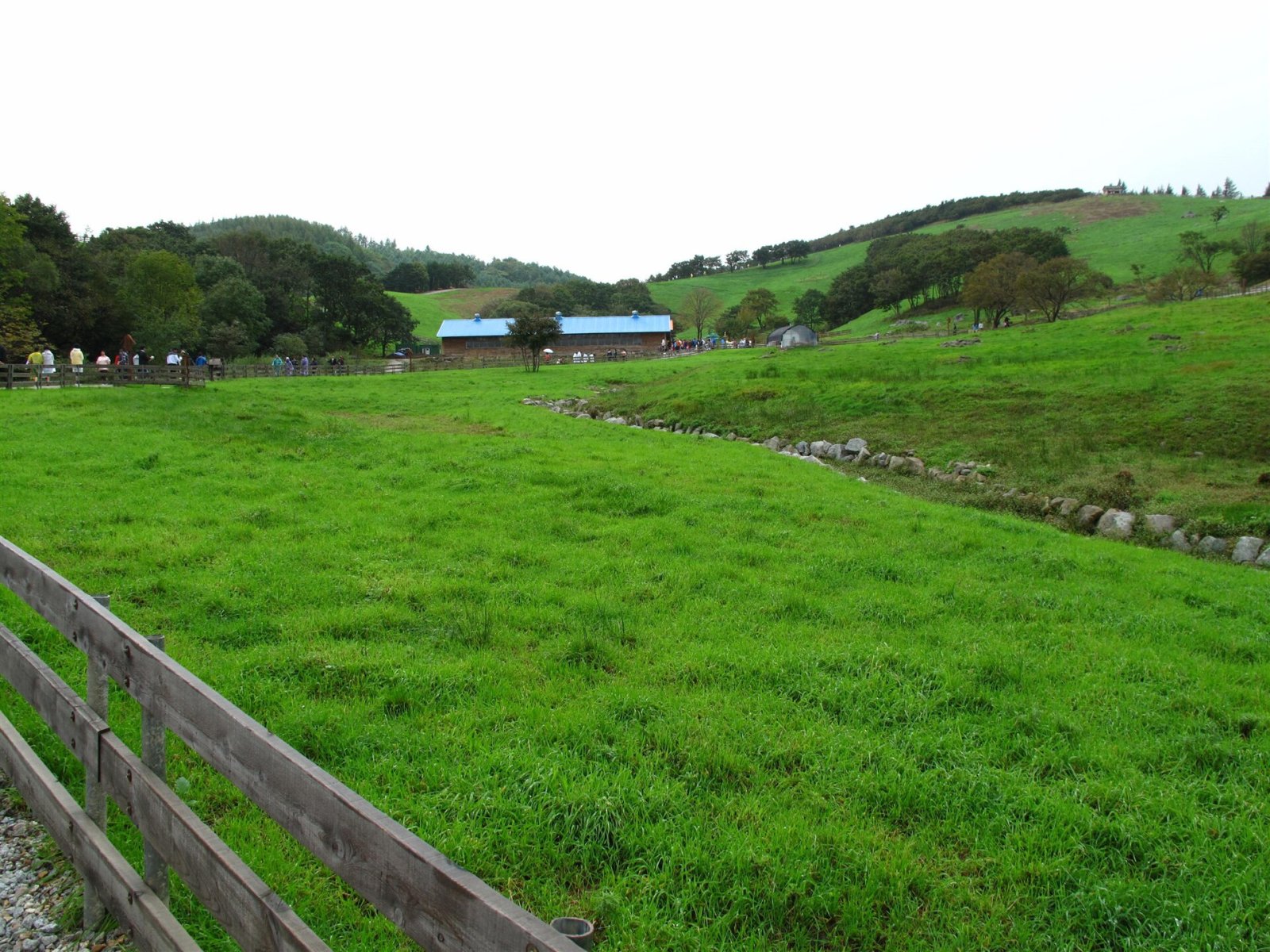 Scopri la Daegwallyeong Sheep Farm a Pyeongchang - Pyeongchang-gun | Secret World Trip Planner