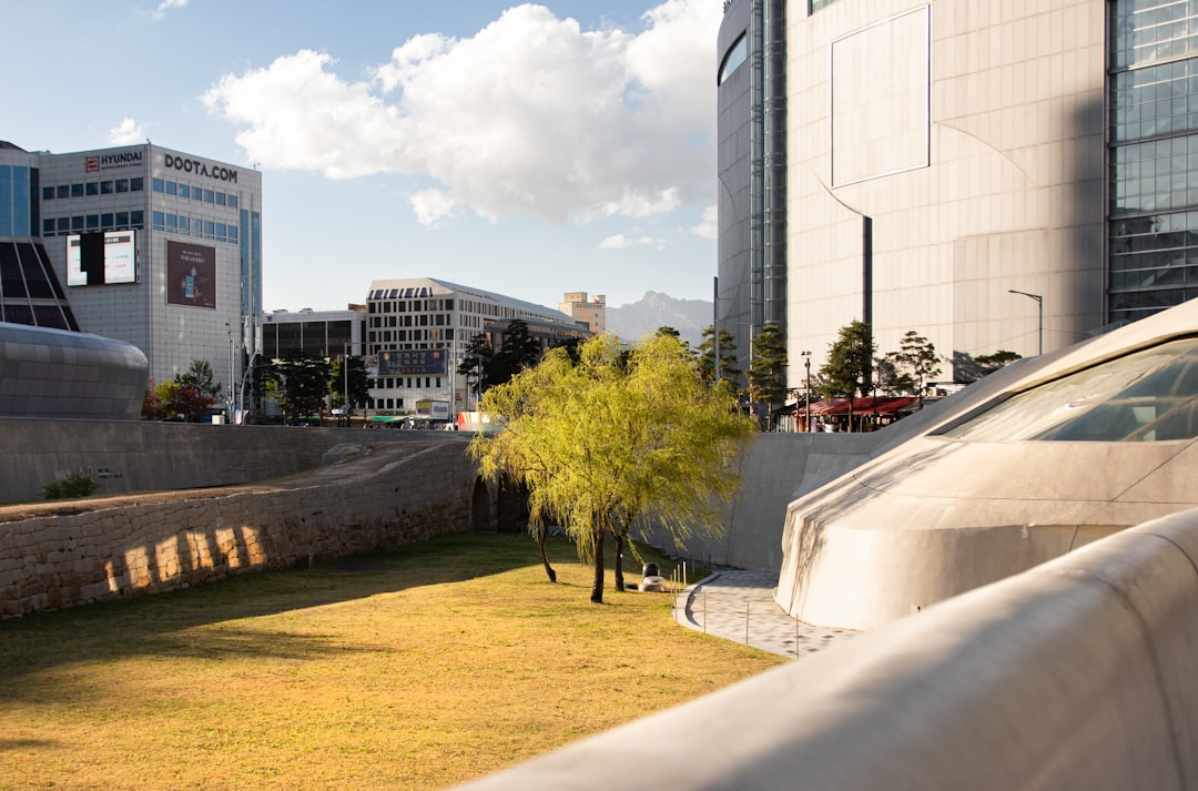 Esplorando il Dongdaemun Design Plaza: un gioiello di Seoul — Jung District