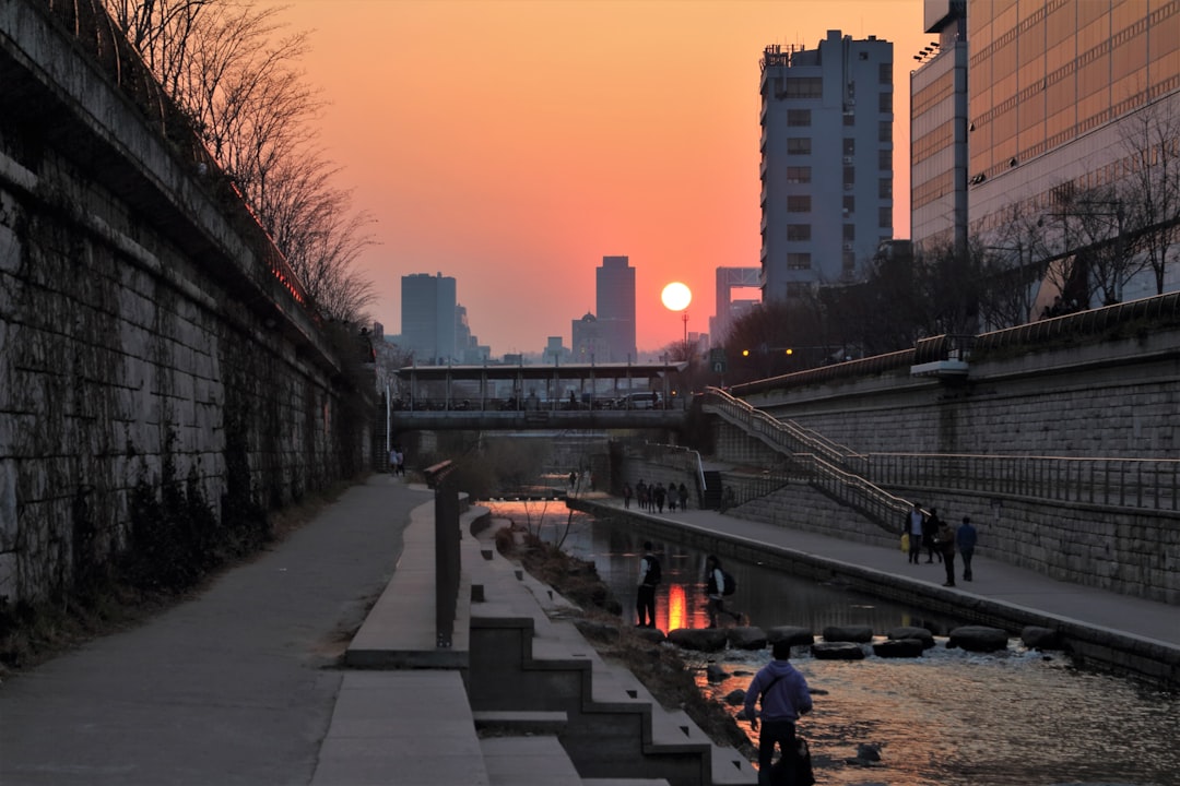Scopri Cheonggyecheon: il gioiello naturale di Seoul - Jongno District | Secret World Trip Planner