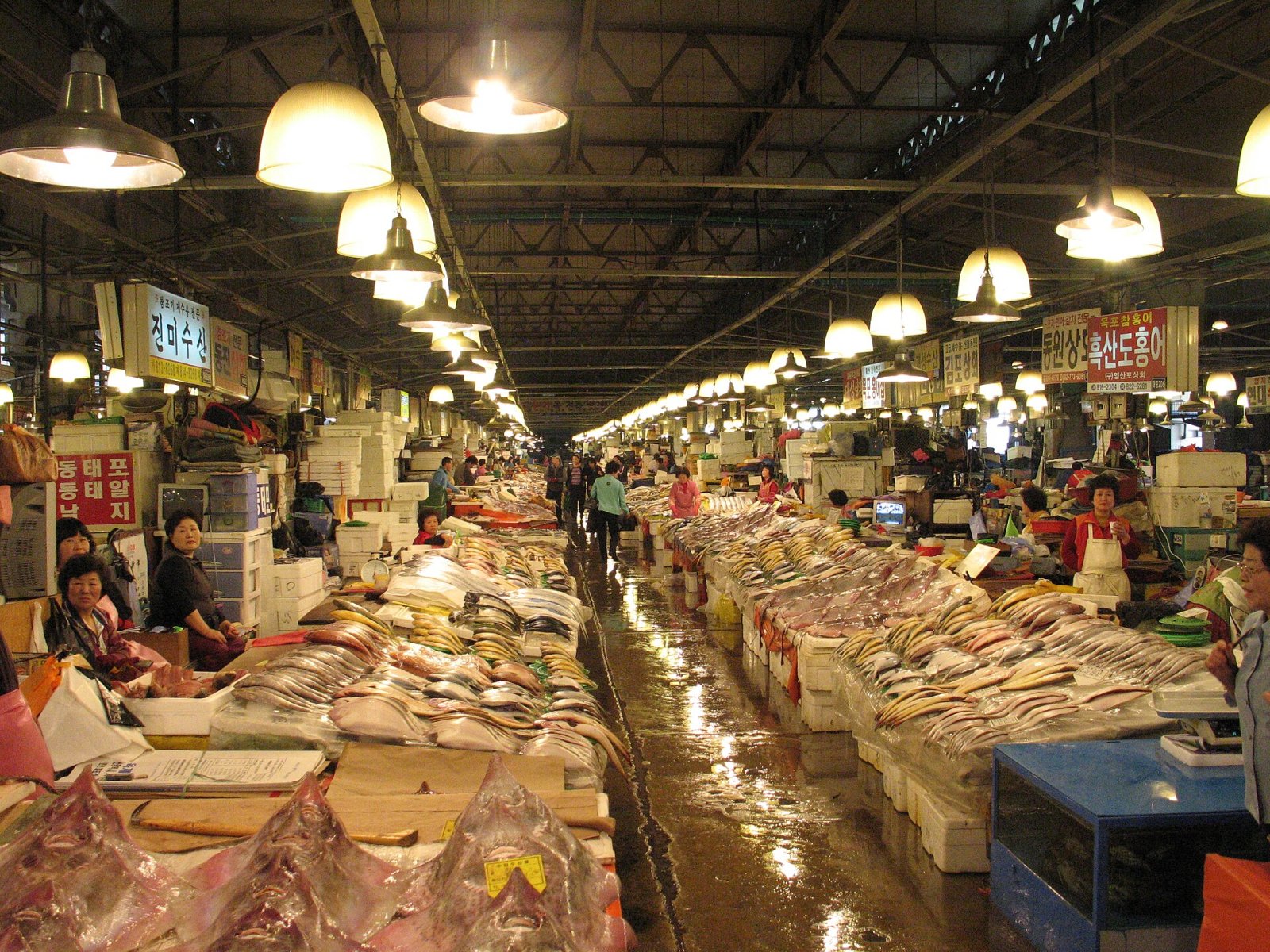 Noryangjin Fish Market: Un viaggio nei sapori di Seoul - Dongjak District | Secret World Trip Planner