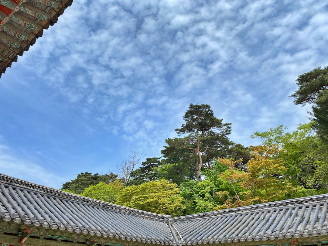 Explorez la Grotte de Seokguram : un trésor historique en Corée du Sud - Gyeongju | Secret World Trip Planner