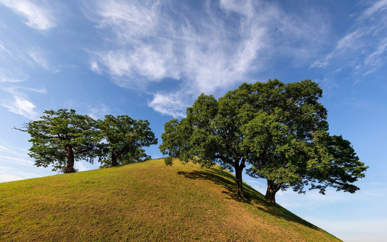 Découvrez le Tumuli Park de Gyeongju : un voyage dans l'histoire coréenne - Gyeongju | Secret World Trip Planner