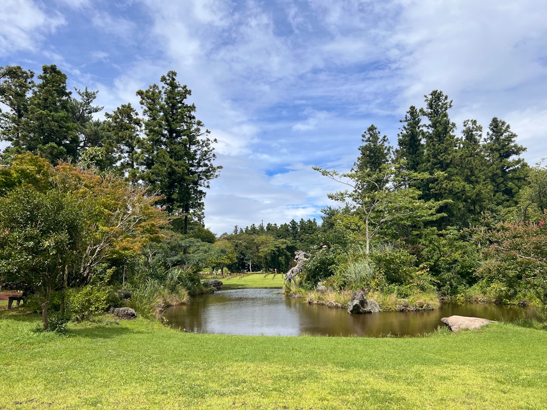 Jeju Island: Un Paradiso Naturale da Scoprire — Cheju