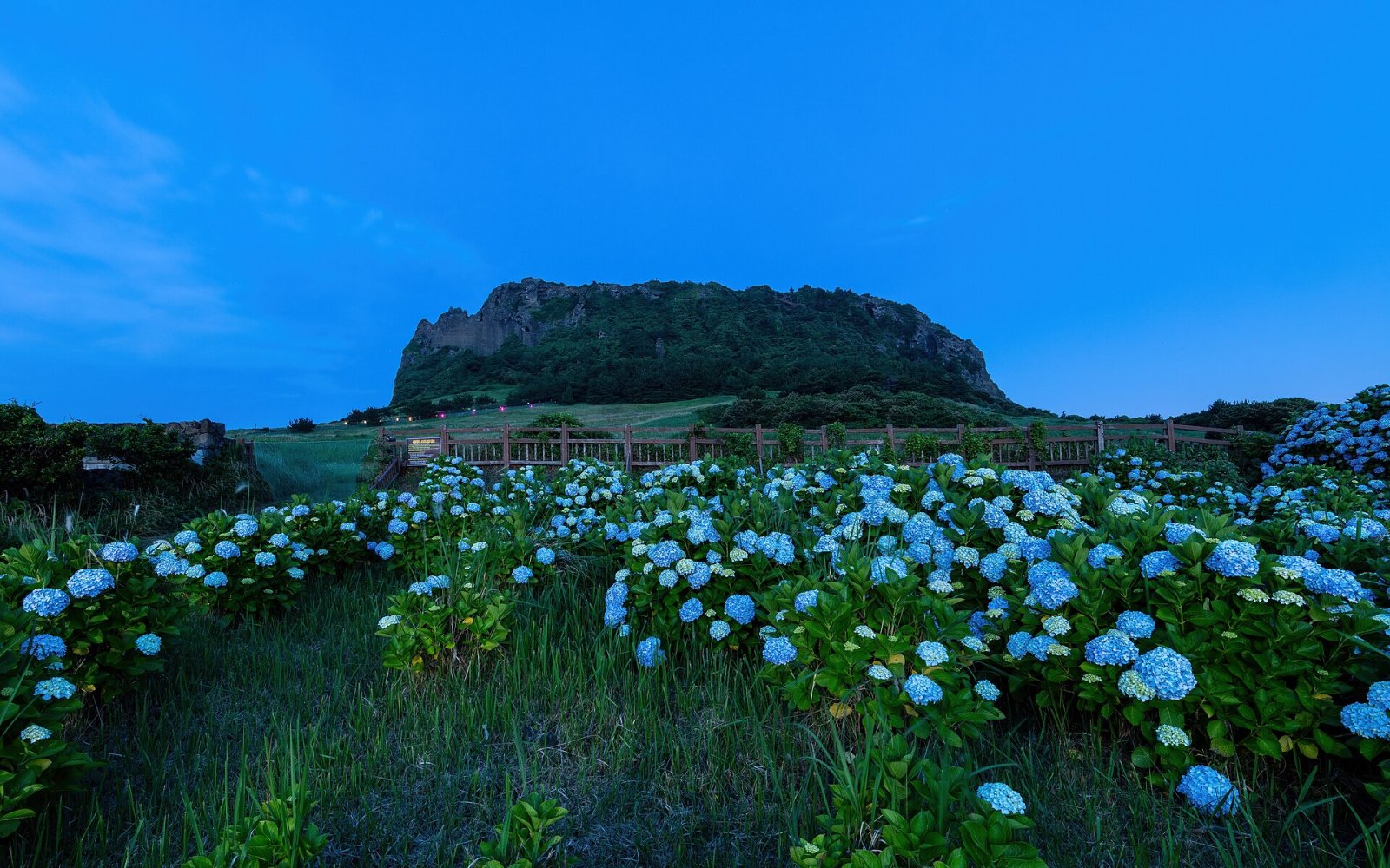 Entdecke Seongsan Ilchulbong: ein Naturjuwel von Jeju - Seogwipo | Secret World Trip Planner