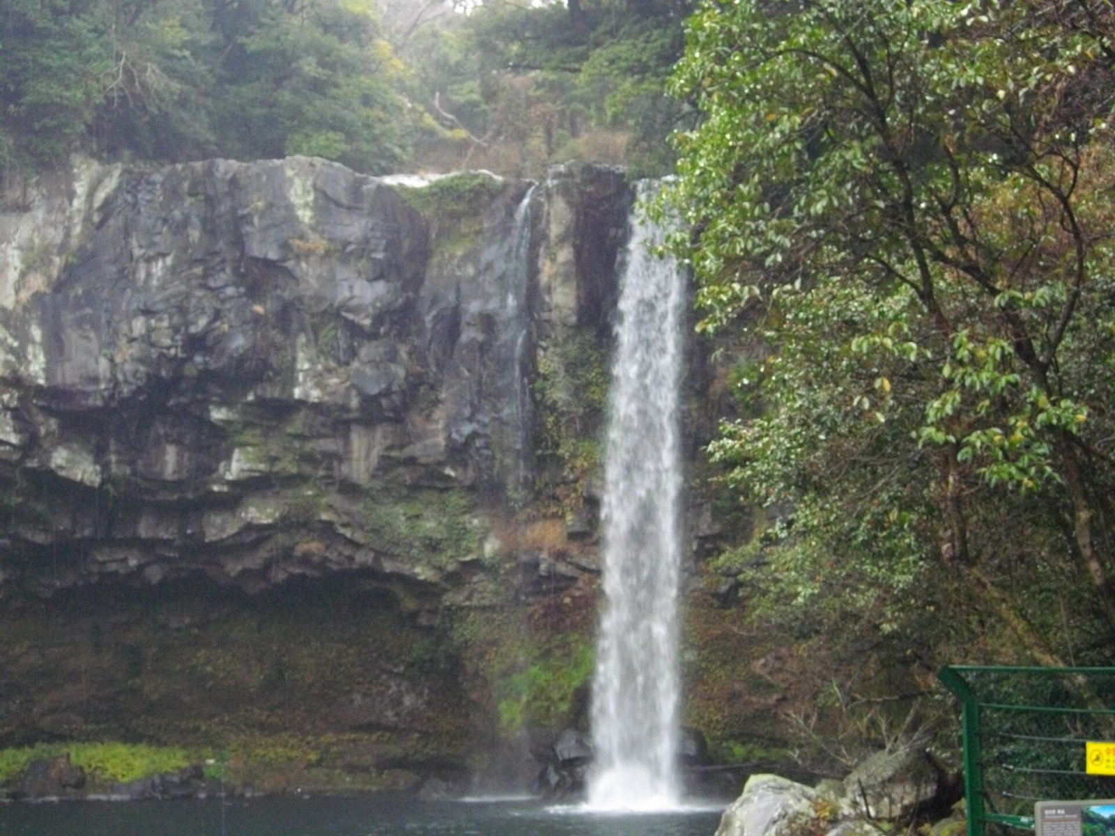 Découvrez la merveille de la cascade Cheonjiyeon à Jeju - Seogwipo | Secret World Trip Planner