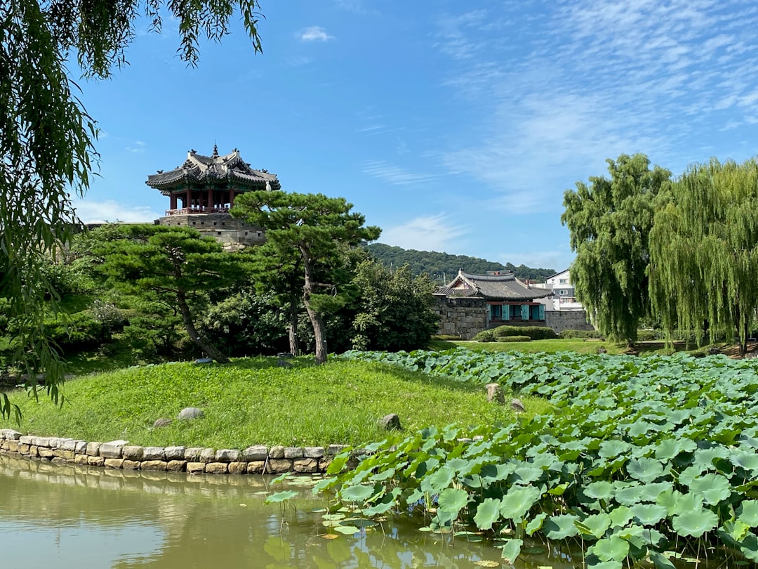 Scopri la Fortezza Hwaseong di Suwon: Un Patrimonio Mondiale - Suwon | Secret World Trip Planner