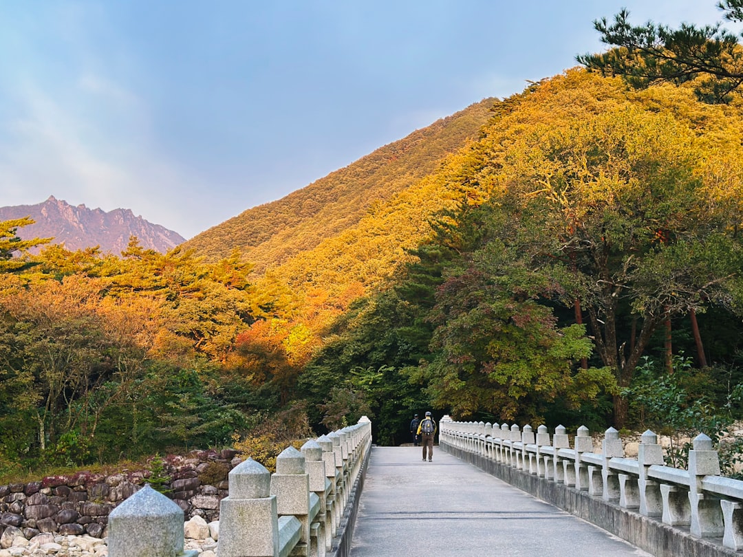 Seoraksan National Park: A Natural Paradise in South Korea - 강원 속초시 설악동 | Secret World Trip Planner