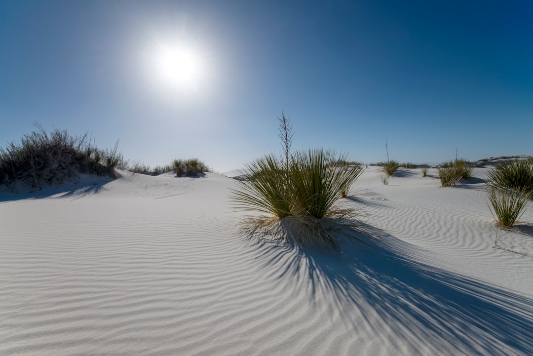 Entdecken Sie die Magie des White Sands National Park in New Mexico - Hanzhong | Secret World Trip Planner