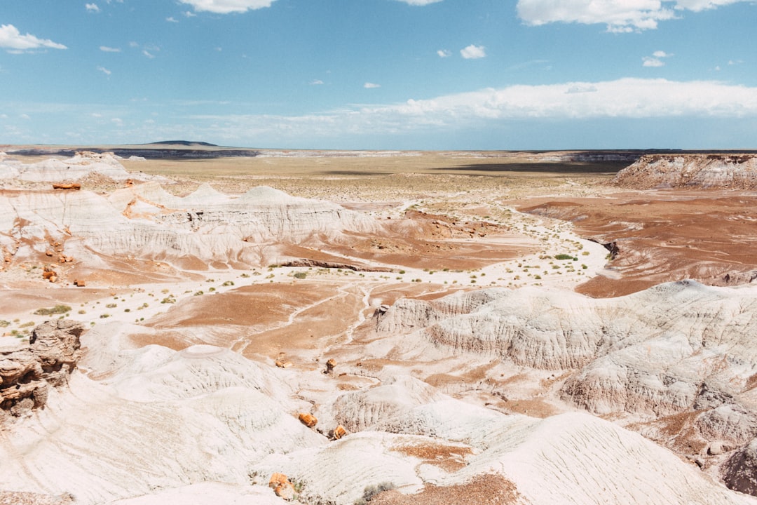 Découvrez le parc national de la forêt pétrifiée en Arizona - Weinan | Secret World Trip Planner