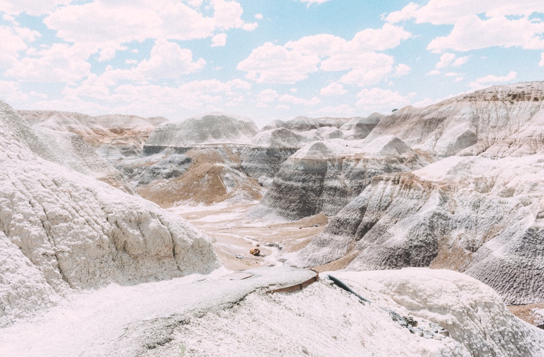 Découvrez le parc national de la forêt pétrifiée en Arizona - Weinan | Secret World Trip Planner