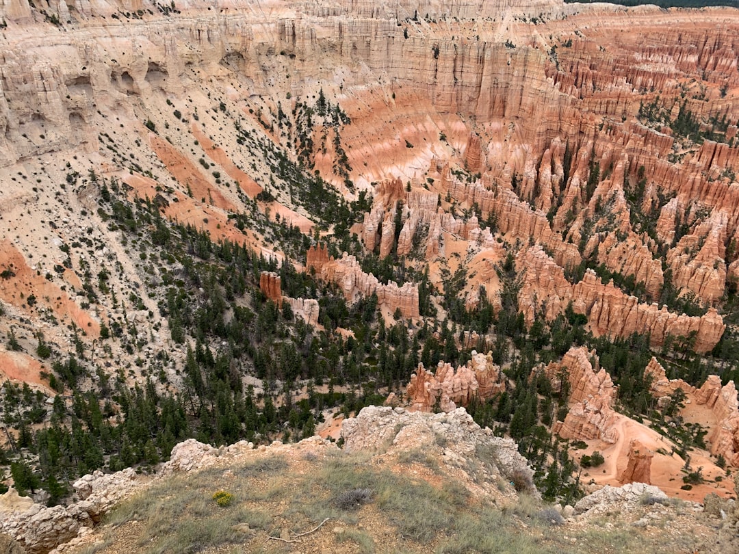Entdecken Sie den Bryce Canyon Nationalpark: Ein Juwel in Utah - Lüliang | Secret World Trip Planner