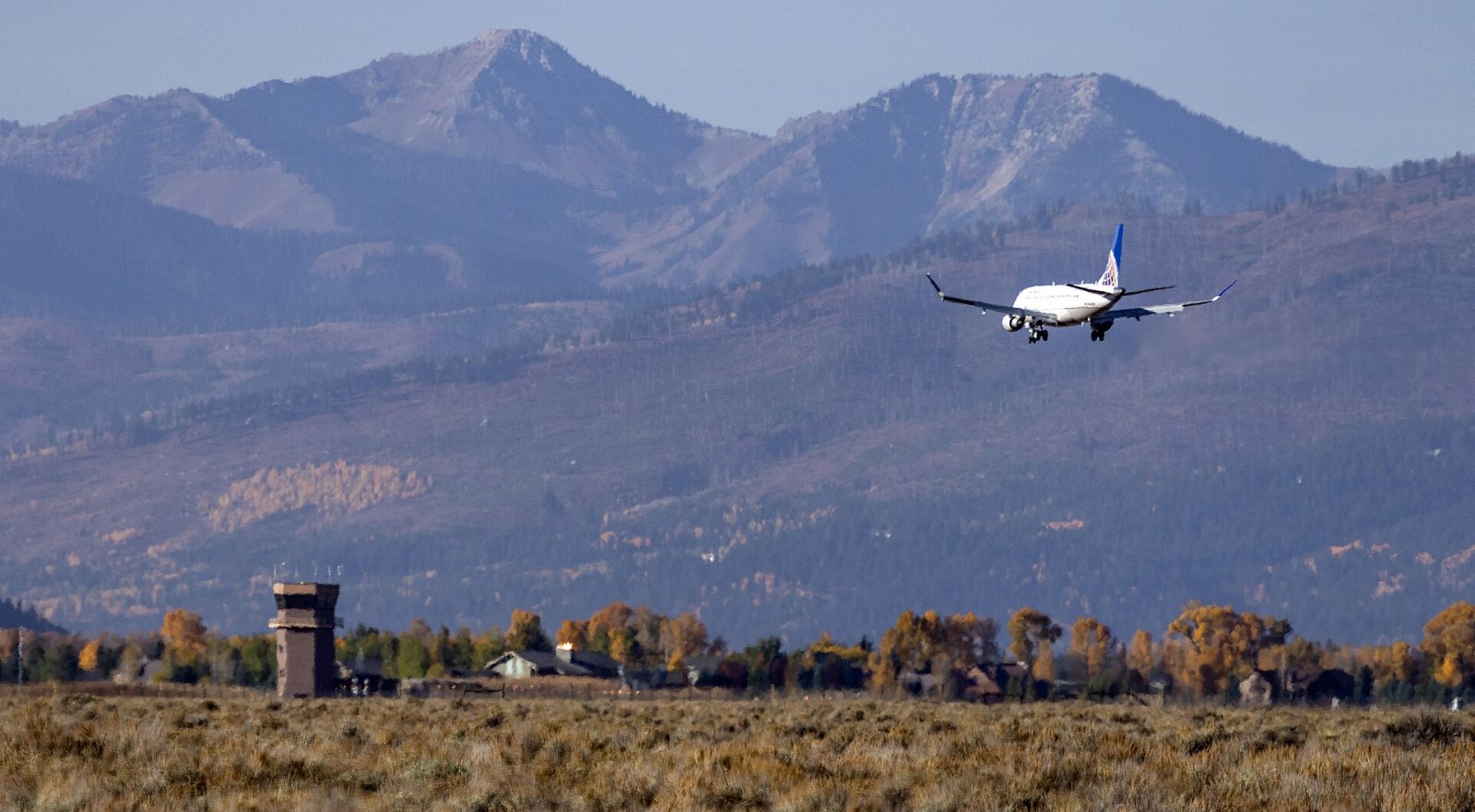 Découvrez Jackson Hole : un coin de paradis dans le Wyoming