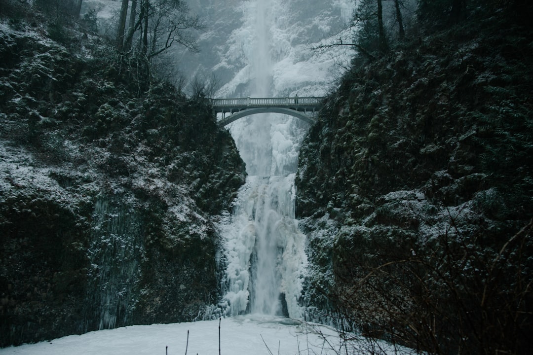 Entdecken Sie die Columbia River Gorge: Natur und Abenteuer in Hood River - Hinggan League | Secret World Trip Planner