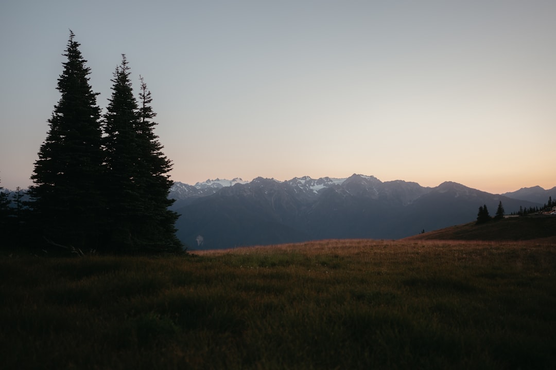 Découvrez le parc national Olympic : un paradis naturel à Washington - Qiqihar | Secret World Trip Planner