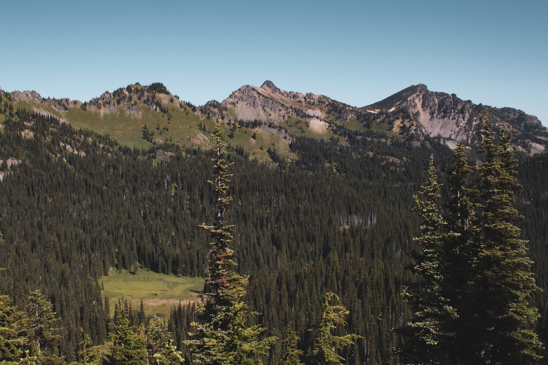 Scopri la bellezza mozzafiato del Mount Rainier National Park | Secret World Trip Planner